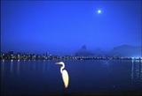 Foto de Lagoa Rodrigo de Freitas por Iran Marques em 26/03/2012