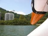 Foto de Lagoa Rodrigo de Freitas por Iran Marques em 26/03/2012