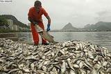 Foto de Lagoa Rodrigo de Freitas por Iran Marques em 26/03/2012