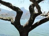 Foto de Lagoa Rodrigo de Freitas por Iran Marques em 26/03/2012