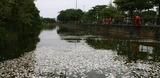 Foto de Lagoa Rodrigo de Freitas por Iran Marques em 26/03/2012