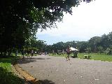 Parque Villa Lobos