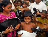 Wspa - Sociedade Mundial de Proteção Animal